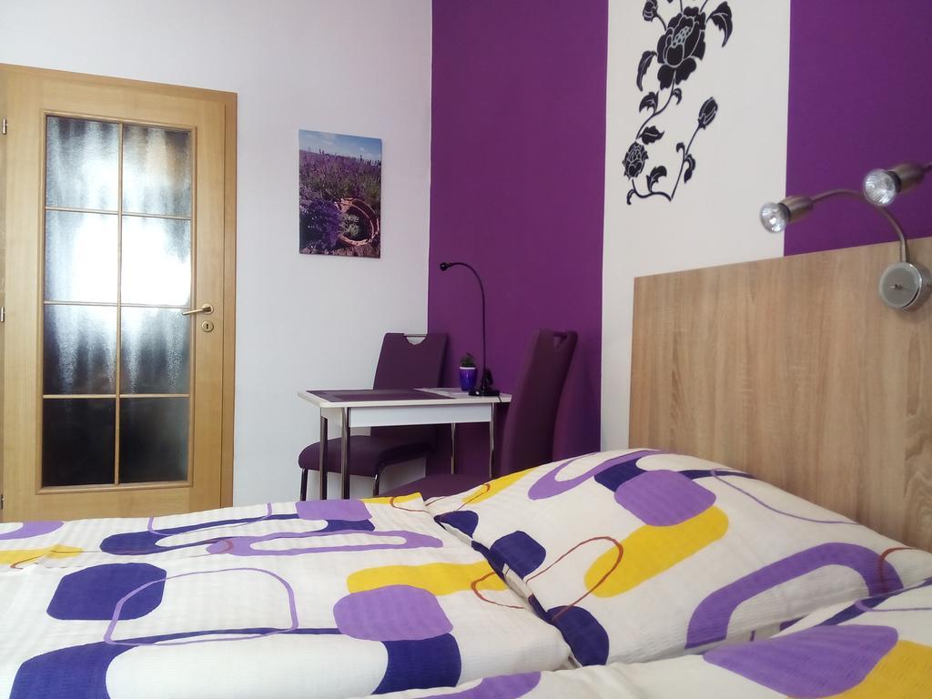 Apartmany - Penzion Smetanka Ceske Budejovice Oda fotoğraf