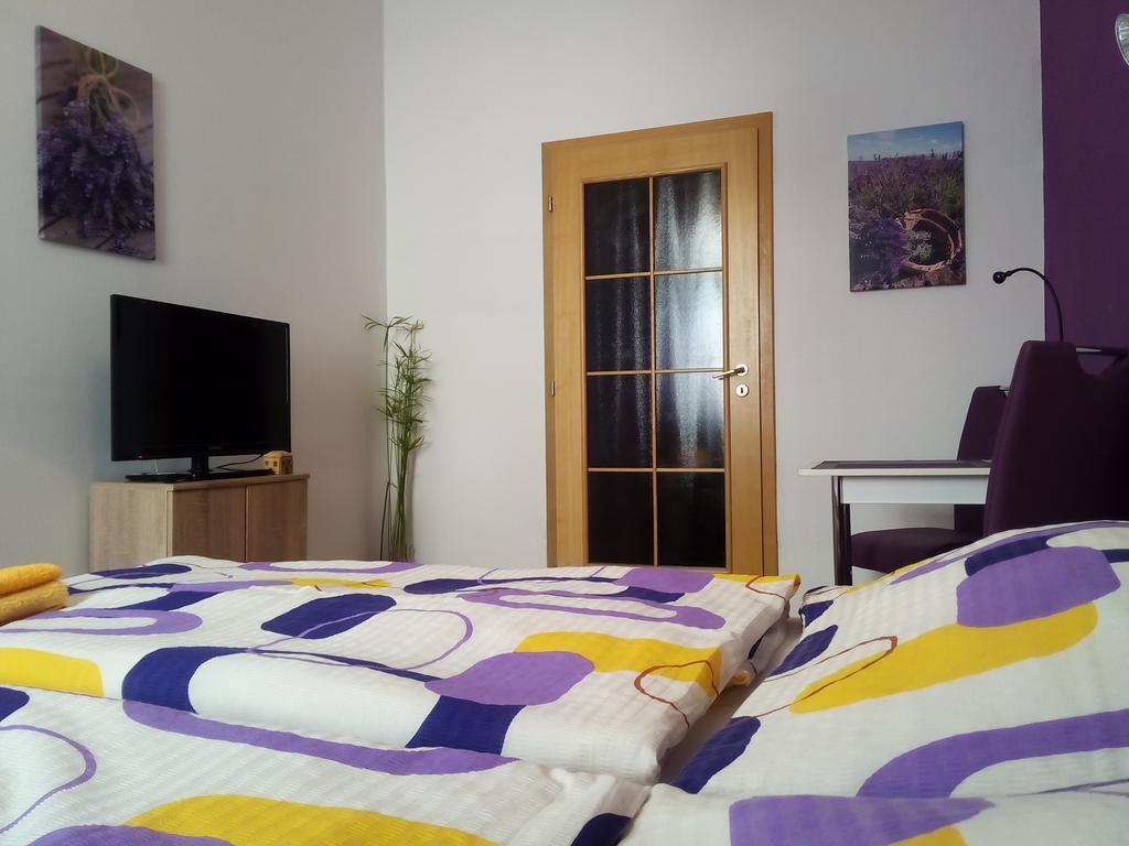 Apartmany - Penzion Smetanka Ceske Budejovice Oda fotoğraf