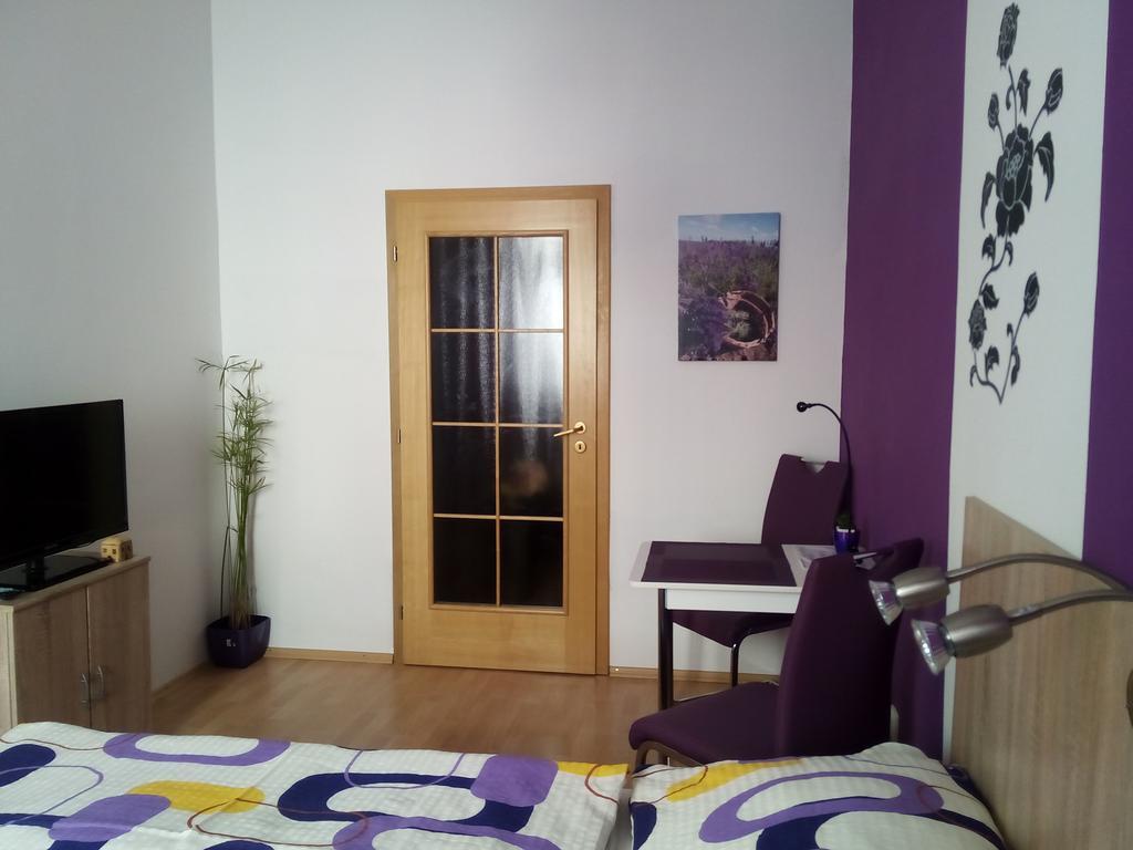 Apartmany - Penzion Smetanka Ceske Budejovice Oda fotoğraf