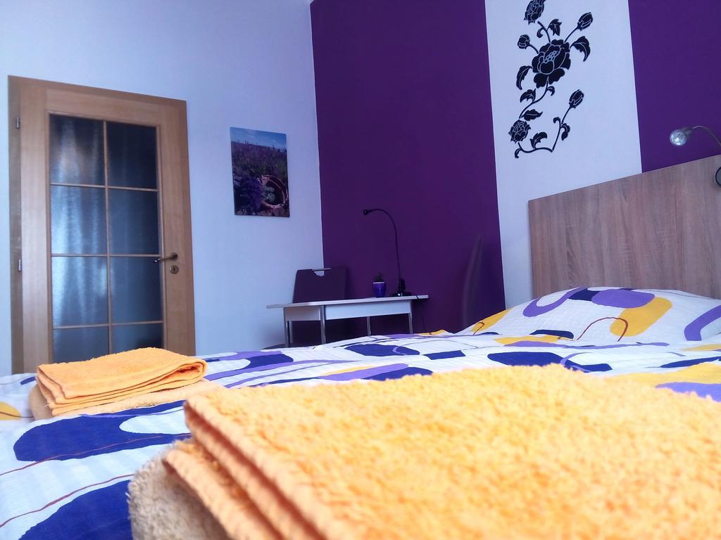 Apartmany - Penzion Smetanka Ceske Budejovice Oda fotoğraf