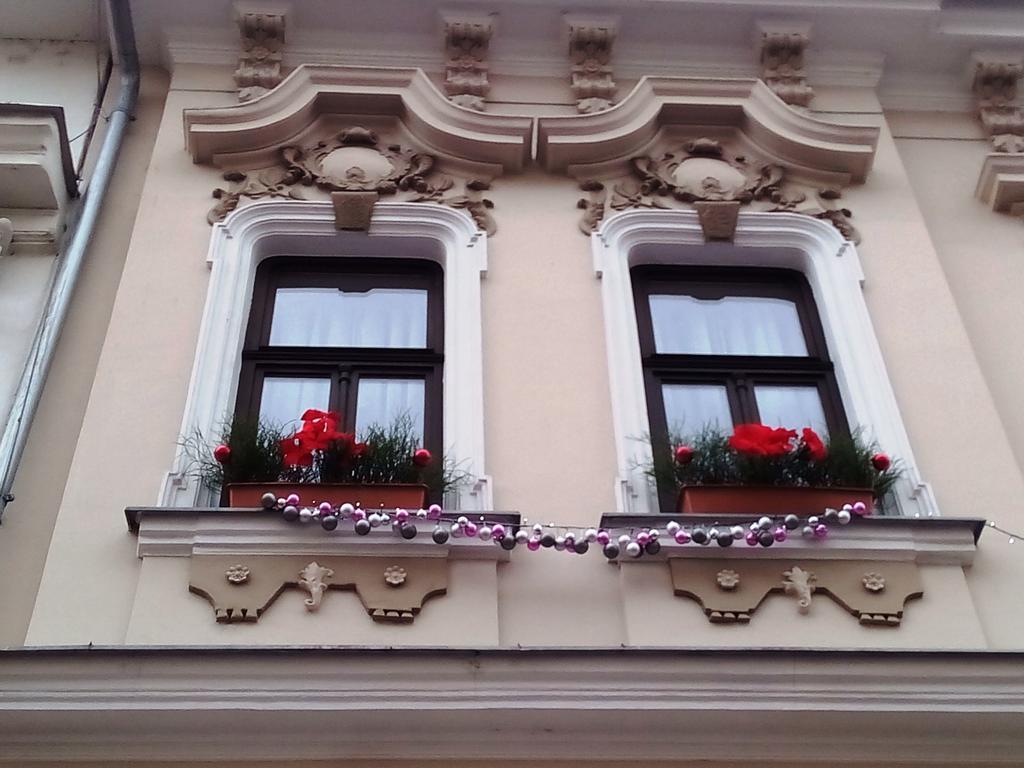 Apartmany - Penzion Smetanka Ceske Budejovice Dış mekan fotoğraf