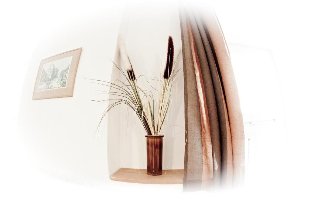 Apartmany - Penzion Smetanka Ceske Budejovice Oda fotoğraf